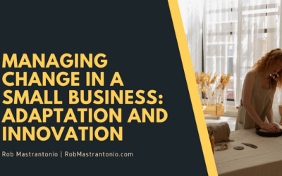 Managing Change in a Small Business: Adaptation and Innovation