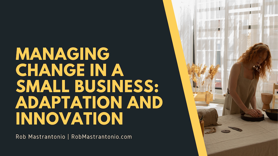 Managing Change in a Small Business: Adaptation and Innovation